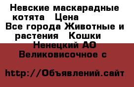 Невские маскарадные котята › Цена ­ 15 000 - Все города Животные и растения » Кошки   . Ненецкий АО,Великовисочное с.